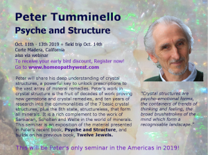 Screen Shot 2019-04-23 at 12.04.39 pm